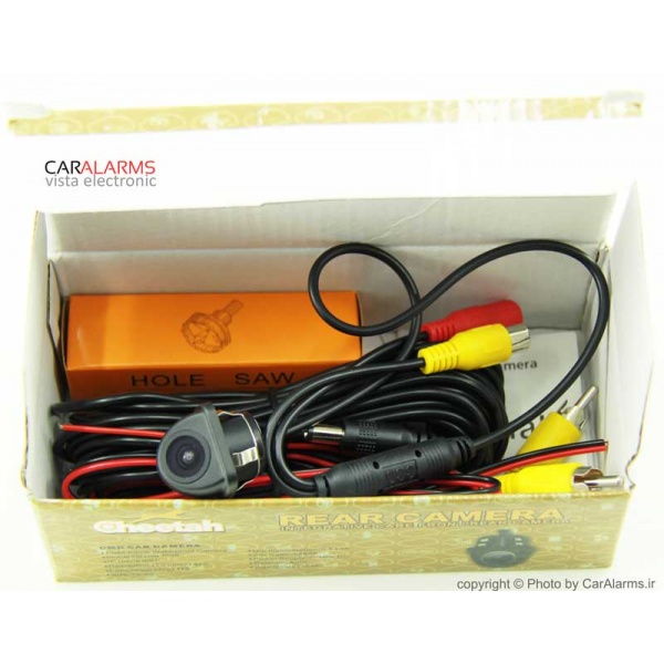 car-cctv-cheetah1
